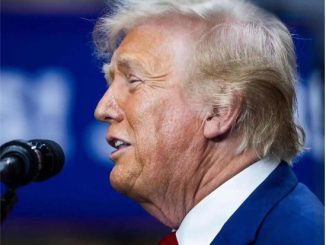 Trump asegura que acordó con Sheinbaum "detener la migración a través de México hacia los EE.UU."