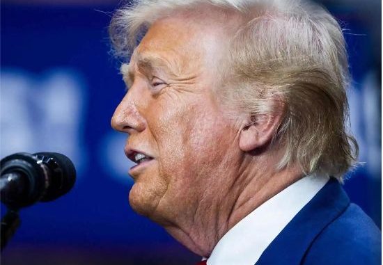 Trump asegura que acordó con Sheinbaum "detener la migración a través de México hacia los EE.UU."