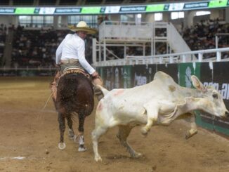 Enrique Jiménez Martínez, tricampeón nacional charro completo