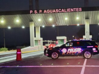 Detienen a una persona por licencia apócrifa