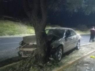 Policías Viales de Aguascalientes atendieron el reporte de accidente contra un árbol que se registró la madrugada de este domingo