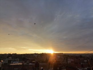 Buen Día...!!