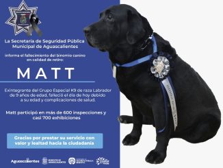 "MATT" fue uno de los ejemplares más productivos de la corporación, agradecemos profundamente el servicio que prestó al Municipio capital: AMR
