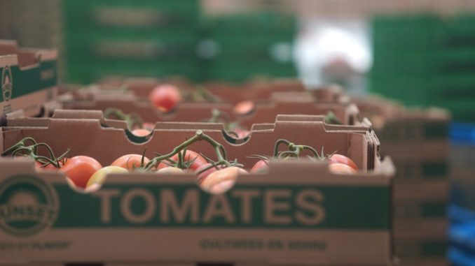 Registra Aguascalientes récord histórico en exportaciones, de acuerdo al INEGI