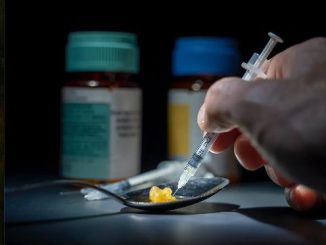 Aseguran casi 300 kilos de metanfetaminas en puerto de Veracruz