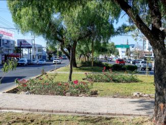 Mejora Municipio de Aguascalientes áreas verdes en López Mateos y salida a Calvillo