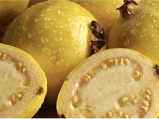 ¿Qué beneficios tiene el té de guayaba?