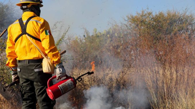 Impulsa Municipio de Aguascalientes acciones para prevenir la propagación de incendios forestales