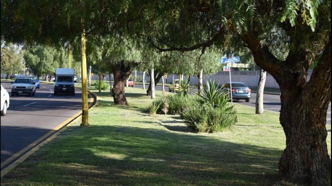 Fortalece Municipio de Aguascalientes el mantenimiento y cuidado de áreas verdes