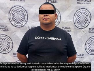 Detienen a una persona que conducía un vehículo robado