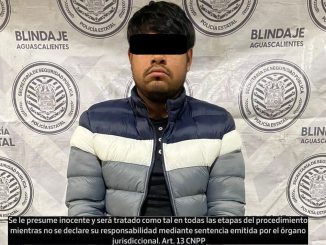 Terminó detenido, ya que presentó una licencia de conducir falsa