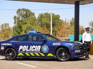 Fue detenido con una licencia de conducir falsa