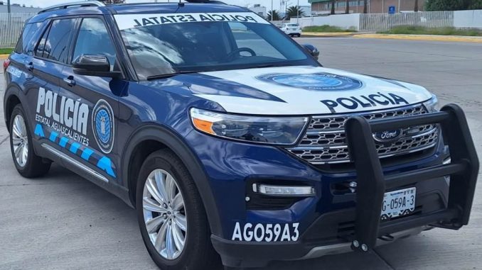 Agredió a una oficial y terminó detenido