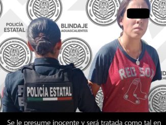 Policías Estatales detienen a mujer acusada por robo tipo fardero