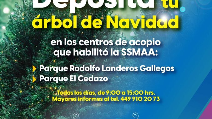 Abren dos Centros para colecta de árboles navideños naturales