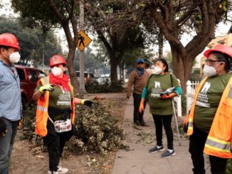 Fotos | Pese a las amenazas de Trump, jornaleros indocumentados ayudan en los incendios de Los Ángeles, California