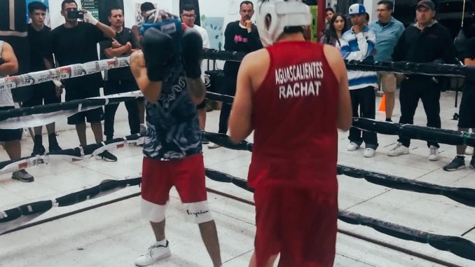 Invitan a participar en Curso gratuito de iniciación al Boxeo