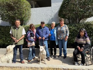 Municipio de Aguascalientes trabaja a favor del bienestar animal