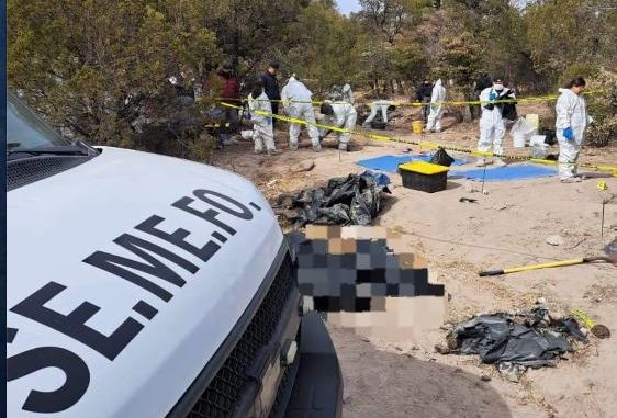 Sheinbaum promete investigar hallazgo de 72 cuerpos en fosas clandestinas de Chihuahua