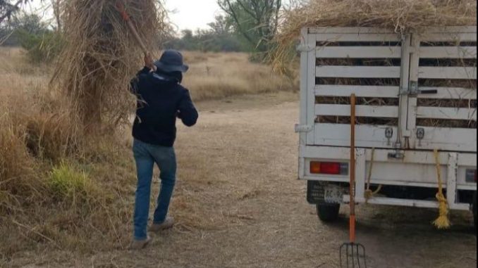 Intensifica Municipio acciones de prevención de incendios y mantenimiento en el Área Natural Protegida La Pona