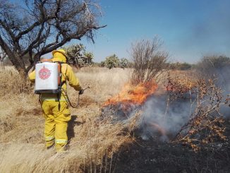Fortalecen Bomberos Municipales de Aguascalientes acciones de combate de incendios forestales y de pastizales