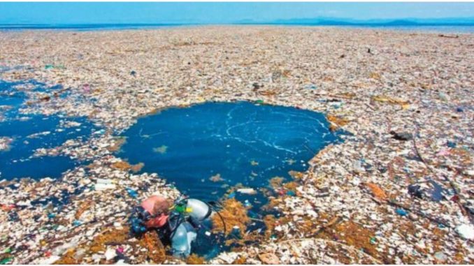 Sin Plástico, Greenpeace México actualiza tiendas y comercios libres de plástico
