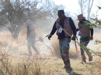 Fortalece Municipio de Aguascalientes labores de desmalezado en el Área natural protegida "La Pona"