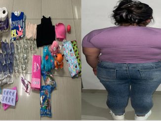 Luego de sustraer diversas mercancías de un Centro Comercial ubicado en el sur de la ciudad, una persona es detenida por Policías Municipales de Aguascalientes