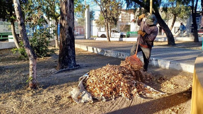 Refuerza Municipio de Aguascalientes mantenimiento de áreas verdes con trabajos vespertinos