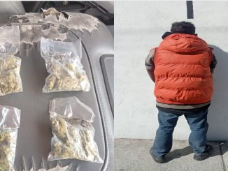 Policías de la SSPM de Aguascalientes detienen a una persona en VNSA por la presunta posesión de sustancias ilícitas