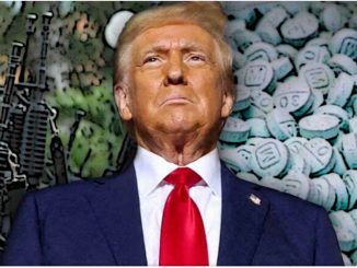 EU frena operación contra fentanilo en México tras congelación de ayuda exterior a Trump: Reuters