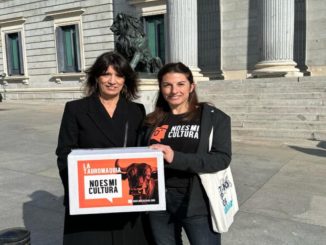 Piden que la tauromaquia deje de ser patrimonio cultural en España 