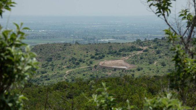 Restauración ecológica post-incendio debe basarse en un entendimiento profundo del ecosistema, señalan expertos