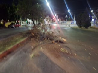 Policías Viales de Aguascalientes atendieron el reporte de accidente que se registró la mañana de este domingo sobre Avenida Convención de 1914