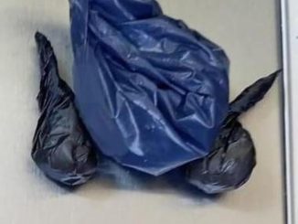 Fue detenido un adolescente originario de Guanajuato, con tres envoltorios con droga