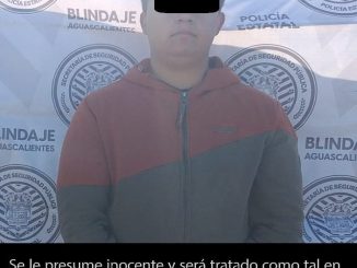 Detenida una persona por hacer uso de una licencia falsa