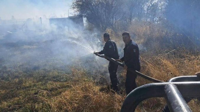 Sofocan incendio de pasto en El Llano