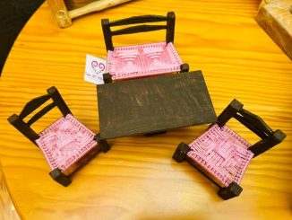 ¡Diversión en tamaño mini en Calvillo! ✨