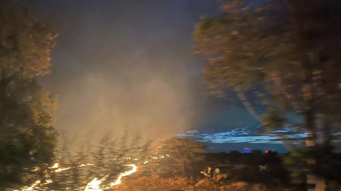 Atienden incendio de pasto seco en El Llano