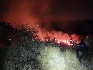 Sofocan incendio de pasto seco en El Llano