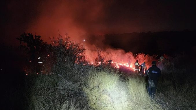 Sofocan incendio de pasto seco en El Llano