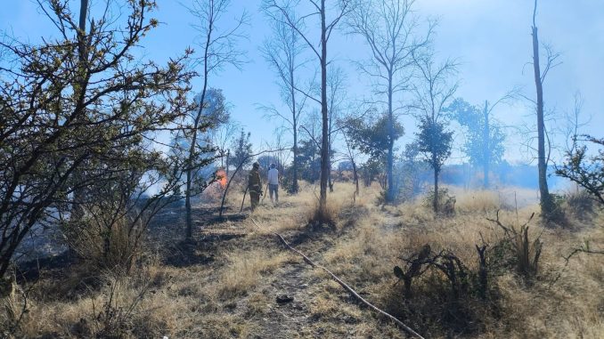 Sofocan incendio de pastizal en el sur de la ciudad