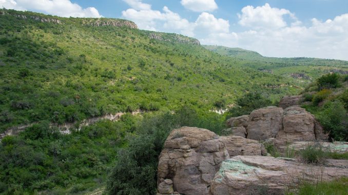 Alteración a los regímenes naturales de fuego presenta nuevos desafíos para la conservación de los ecosistemas