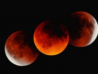 ¡No se te pase! México tendrá el único eclipse visible de 2025; te decimos cuándo