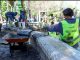 Realiza Secretaría de Servicios Públicos Municipales desazolve y limpieza en el lago del Parque Hidalgo