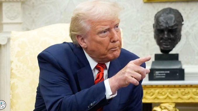 Trump califica de "terrorismo doméstico" los ataques contra propiedades de Tesla