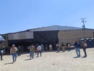 Teuchitlán | 'Nos fue mal, lejos de encontrar algo, todo estaba limpio': buscadoras