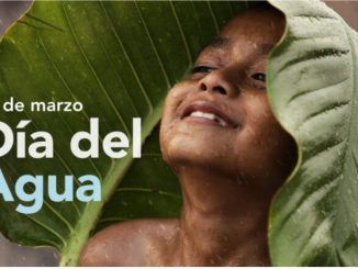 Día Mundial del Agua | Un derecho vital, no un privilegio