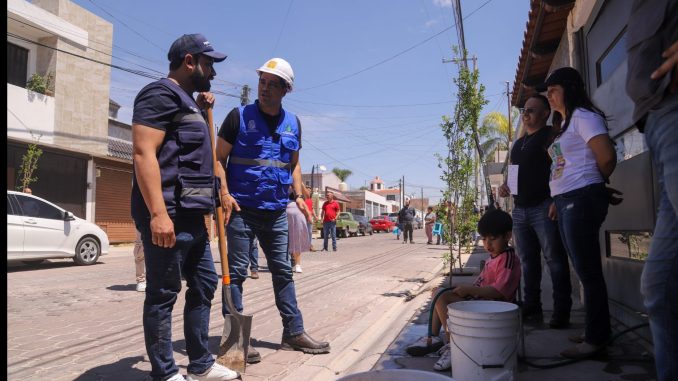 Mil Familias del Municipio de Aguascalientes han adoptado un árbol en sus hogares