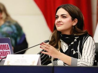 Respalda PAN acciones contra Andrea Chávez